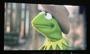 Kermit the frog wearing a cowboy hat